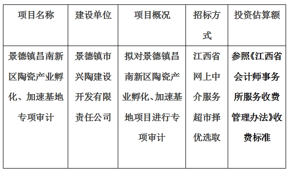 景德鎮市興陶建設開發有限責任公司加速基地及孵化基地專項審計項目計劃公告