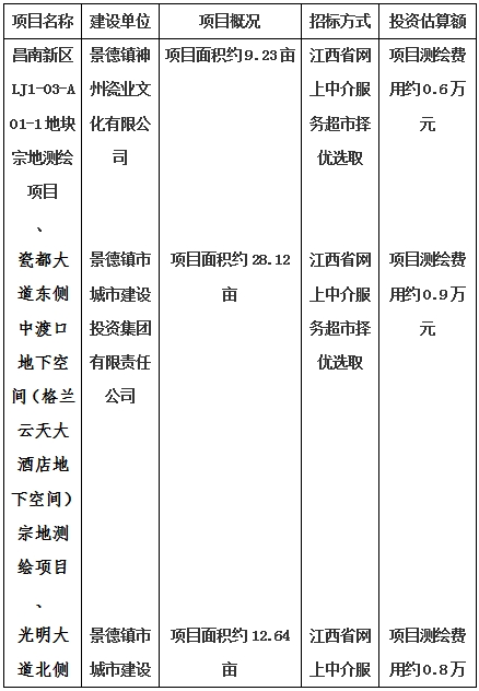 景德鎮市昌南新區LJ1-03-A01-1地塊、瓷都大道東側中渡口地下空間（格蘭云天大酒店地下空間）、光明大道北側利民路西側地下空間（青少年宮地下空間）、規劃二路北側地下空間地塊二（加速基地地下空間）、規劃二路北側地下空間地塊一（加速基地地下空間）、景德大道南側天寶橋西側地塊、景興大道東側如意路北側地下空間(社會公共服務