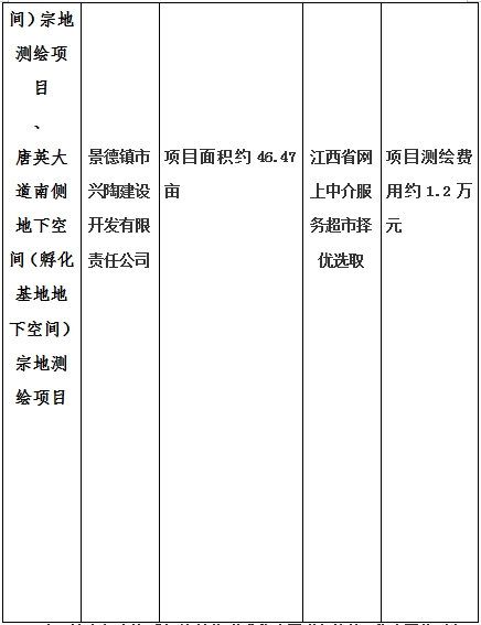 景德鎮市昌南新區LJ1-03-A01-1地塊、瓷都大道東側中渡口地下空間（格蘭云天大酒店地下空間）、光明大道北側利民路西側地下空間（青少年宮地下空間）、規劃二路北側地下空間地塊二（加速基地地下空間）、規劃二路北側地下空間地塊一（加速基地地下空間）、景德大道南側天寶橋西側地塊、景興大道東側如意路北側地下空間(社會公共服務